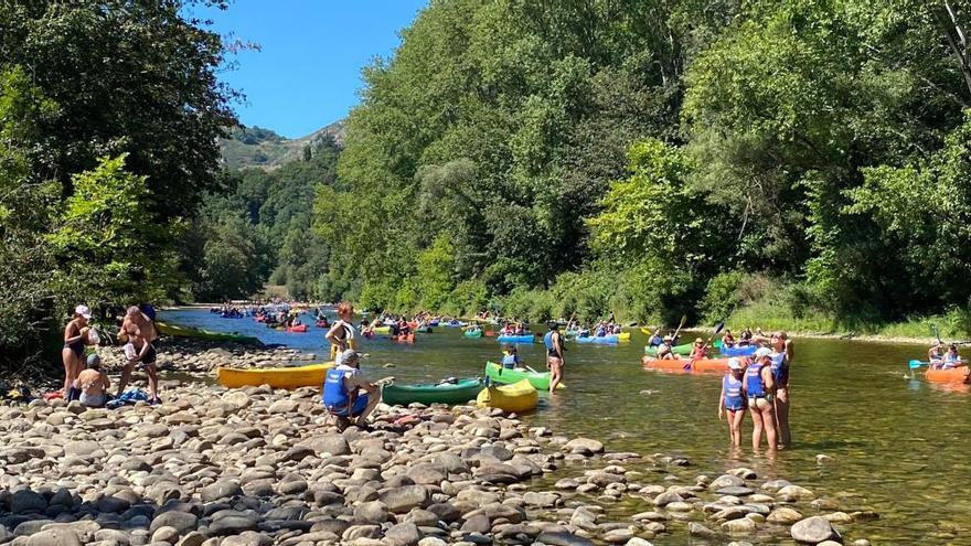 Las canoas del río Sella casi al completo de ocupación hoy, martes, con más de 4.000 palistas