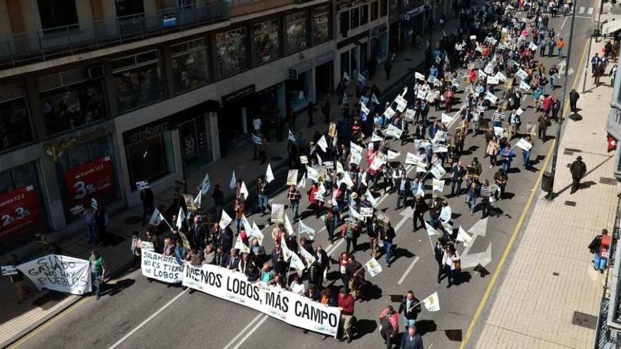Los manifestantes recorren una calle céntrica de Zamora reclamando mayor control de la fauna y un cambio de política a la Administración .