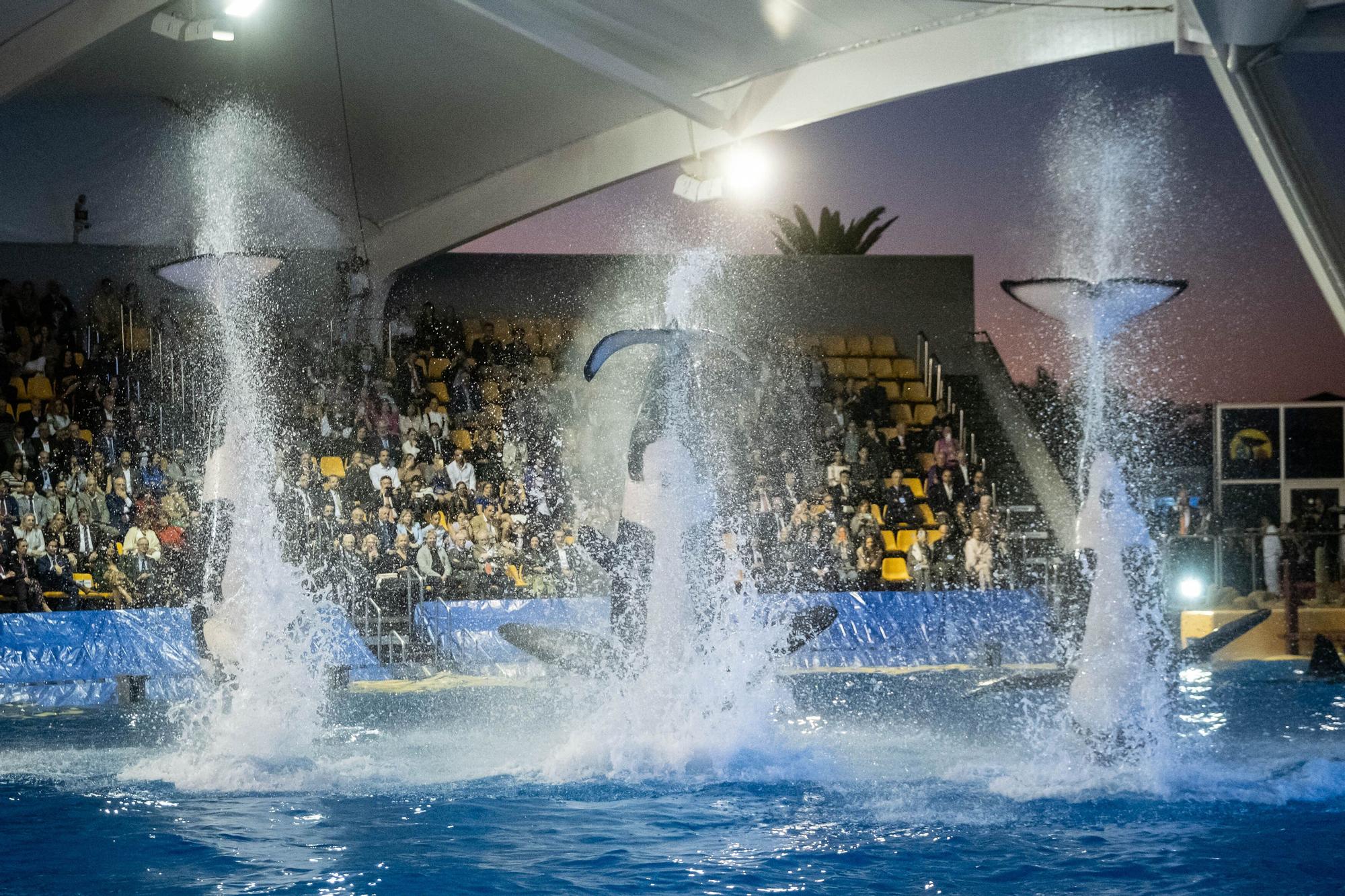 50 aniversario de Loro Parque