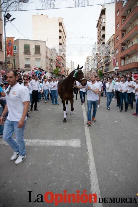 Caballos del Vino: Concurso morfológico (salida Pl