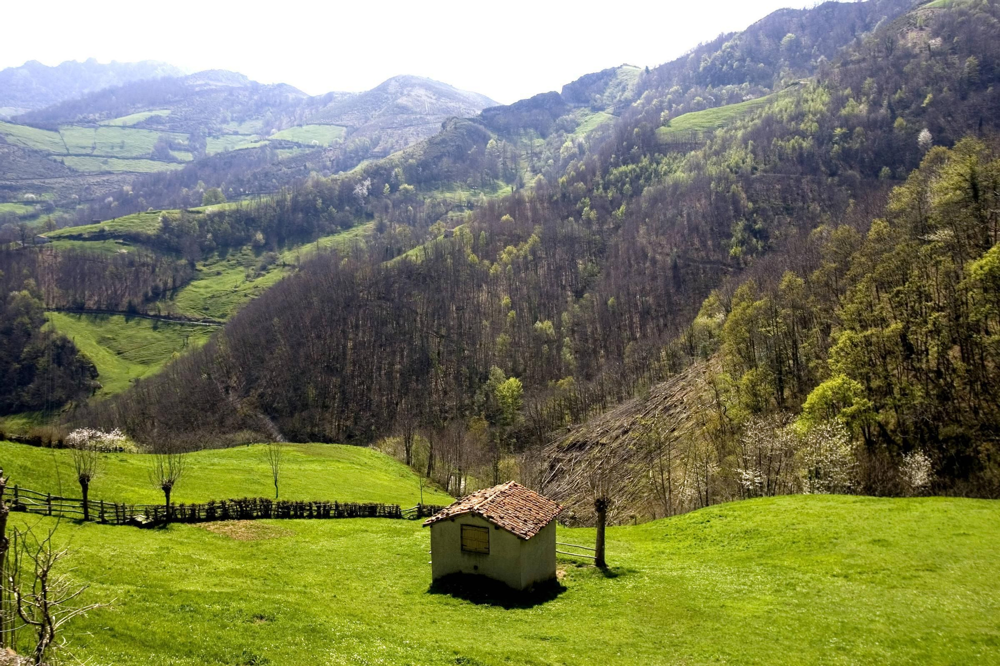 Rincones de Laviana: así es el concejo del Alto Nalón, el punto de encuentro entre la Asturias industrial y el paraíso natural