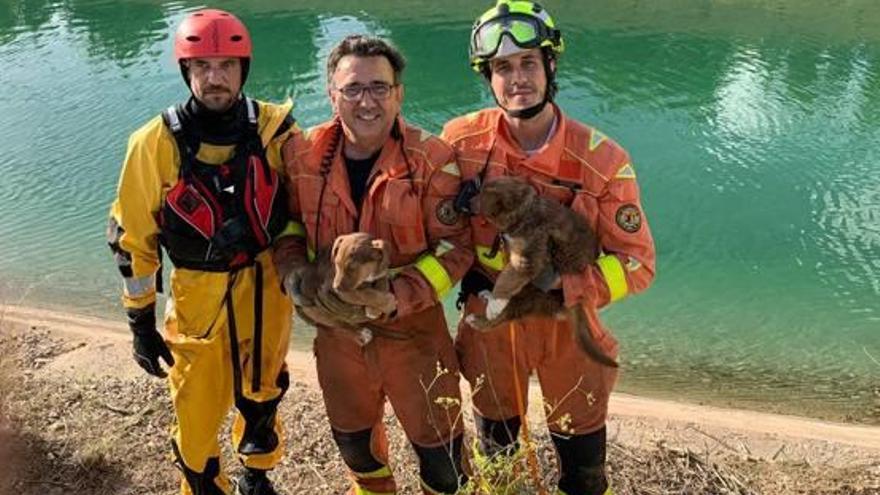 Rescatan dos cachorros en el canal