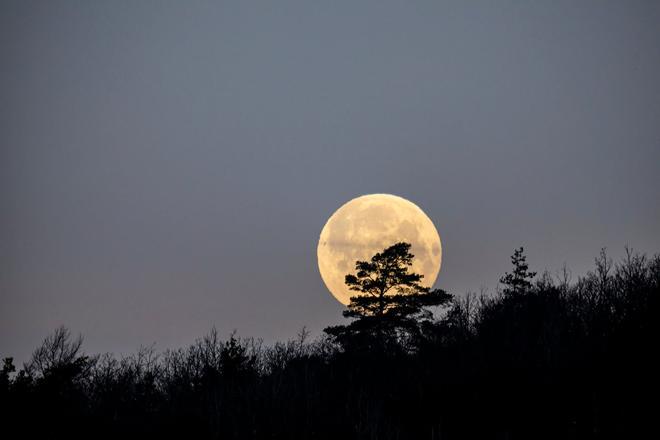 La Luna del Lobo alcanzará su máximo brillo el 7 de enero a las 0:08 horas