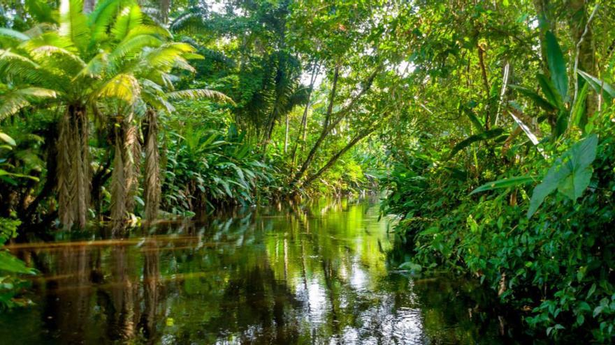 El lanzaroteño Manuel Corujo muere en un accidente en la selva amazónica