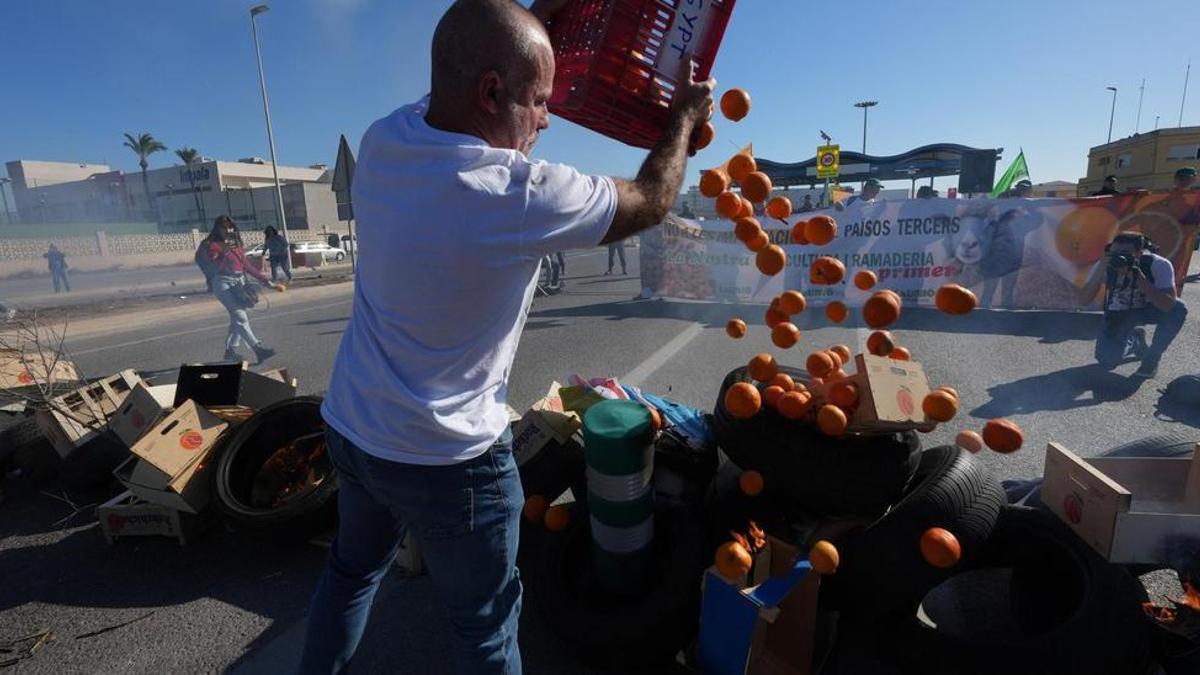 El secretario general de la Unió tira naranjas al suelo en protesta por la entrada de fruta foránea, este miércoles en el Puerto.