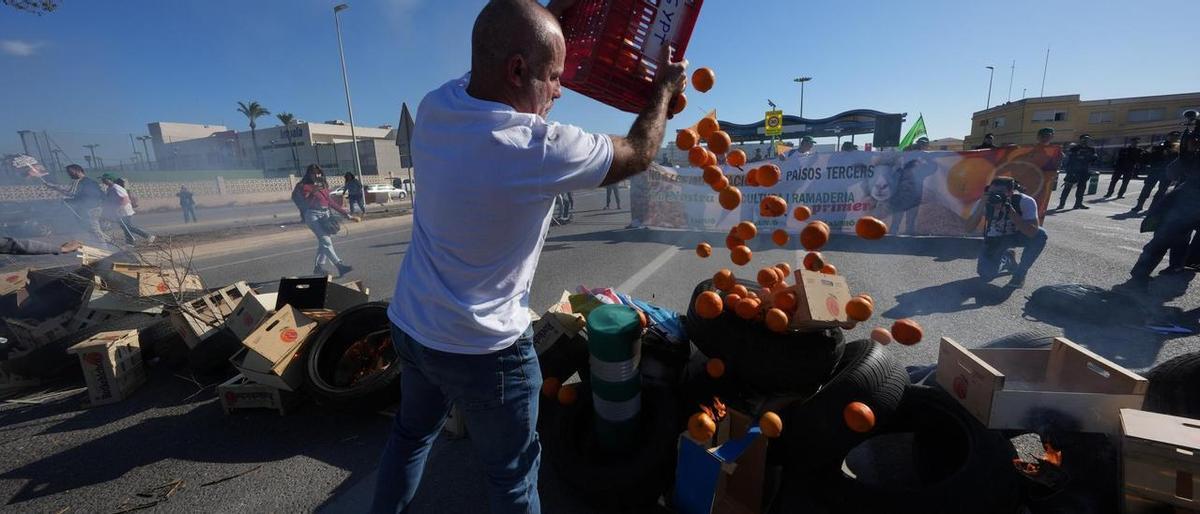 El secretario general de la Unió tira naranjas al suelo en protesta por la entrada de fruta foránea, este miércoles en el Puerto.