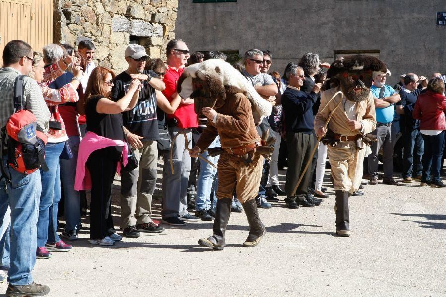 Día de la Provincia 2016 en Villardeciervos