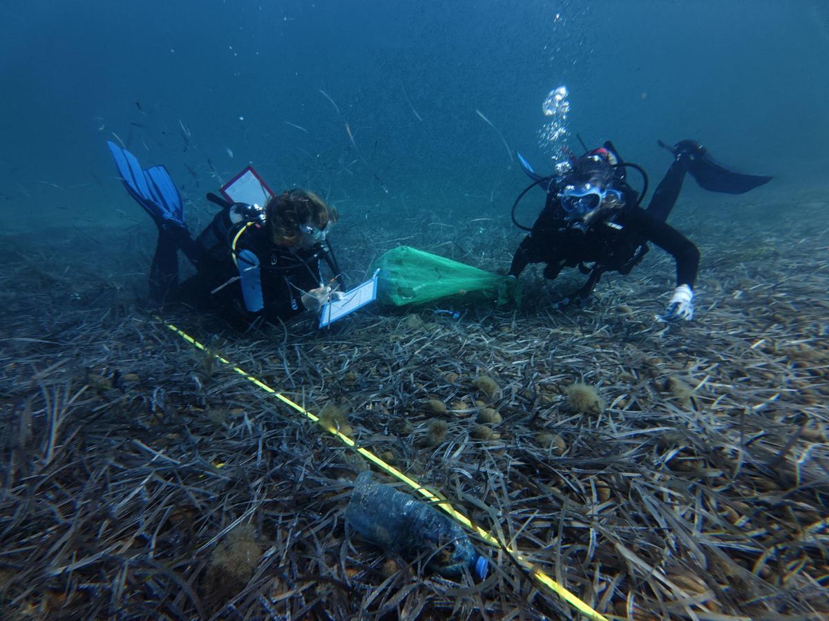 Toma de muestreos para el proyecto en S'Espalmador, en Formentera.