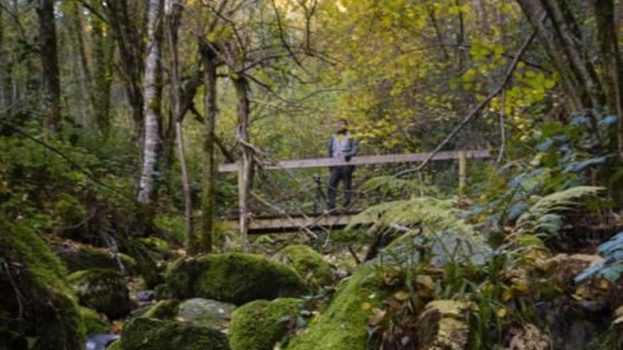 Las 100 fotos que demuestran que el otoño es la mejor época para conocer Asturias