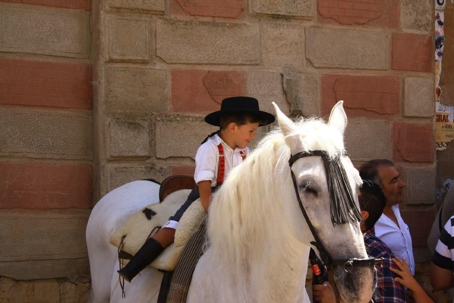 Feria del caballo en Fuentesaúco