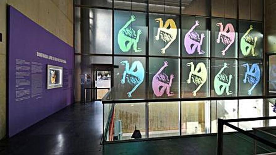 La vidriera del museo. | LEVANTE-EMV