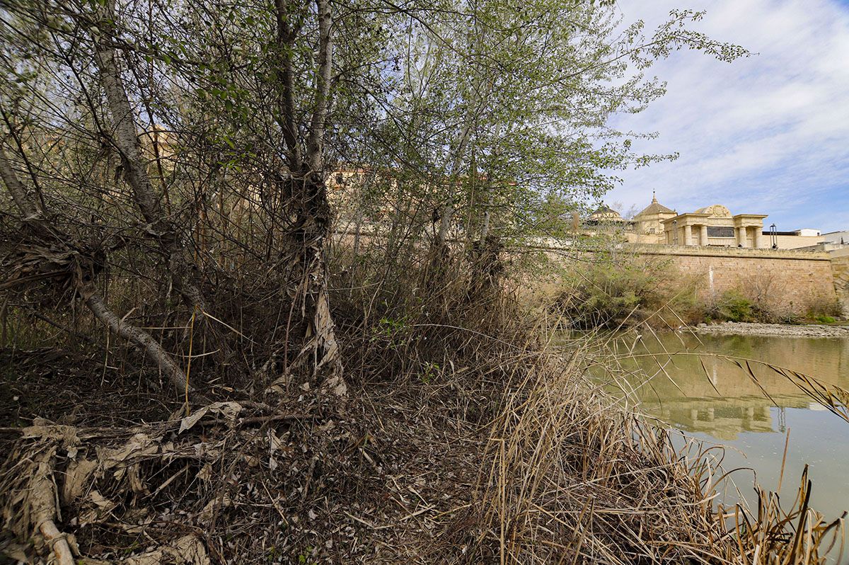 Los Sotos de la Albolafia de Córdoba