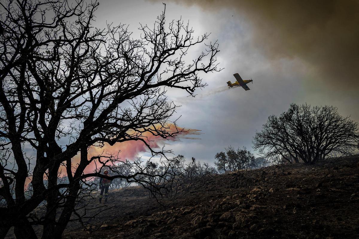 Efectivos del Consorcio Provincial de Bomberos trabajaron en la extinción del incendio forestal declarado en Ibi