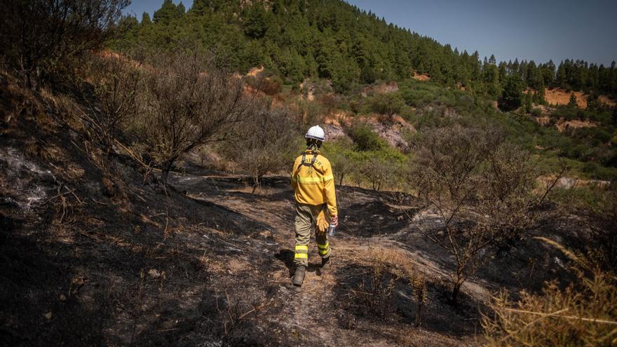 Los incendios en Canarias ya son más voraces que hace dos décadas