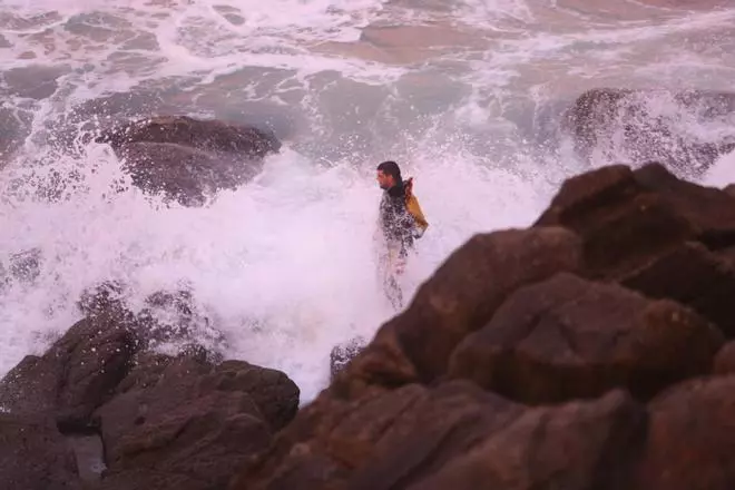 Más de 180 euros el kilo por el primer percebe de los bancos de Navidad