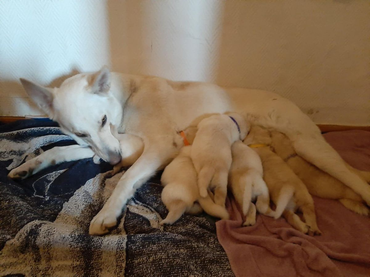 La madre con sus pequeños.