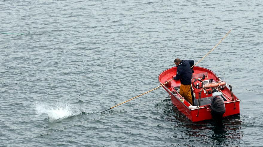 La Marteilia, riadas y vientos frenan el libre marisqueo