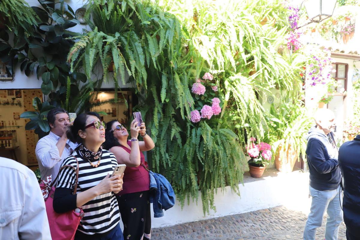 Los Patios premiados se llenan de visitantes