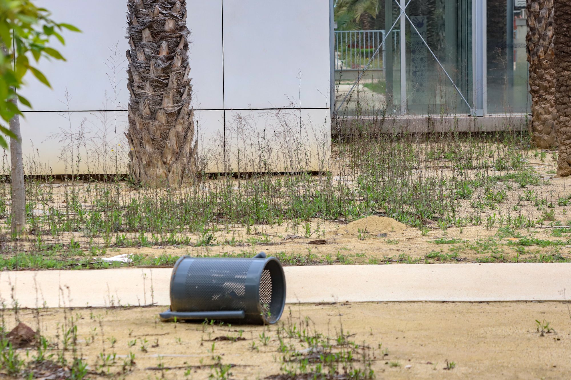 Lamentable estado en el que se encuentra el edificio que ocupó el Centro Oriol en el Palmeral