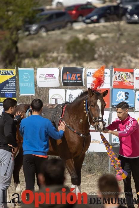 Carrera de entrenamiento de los Caballos del Vino