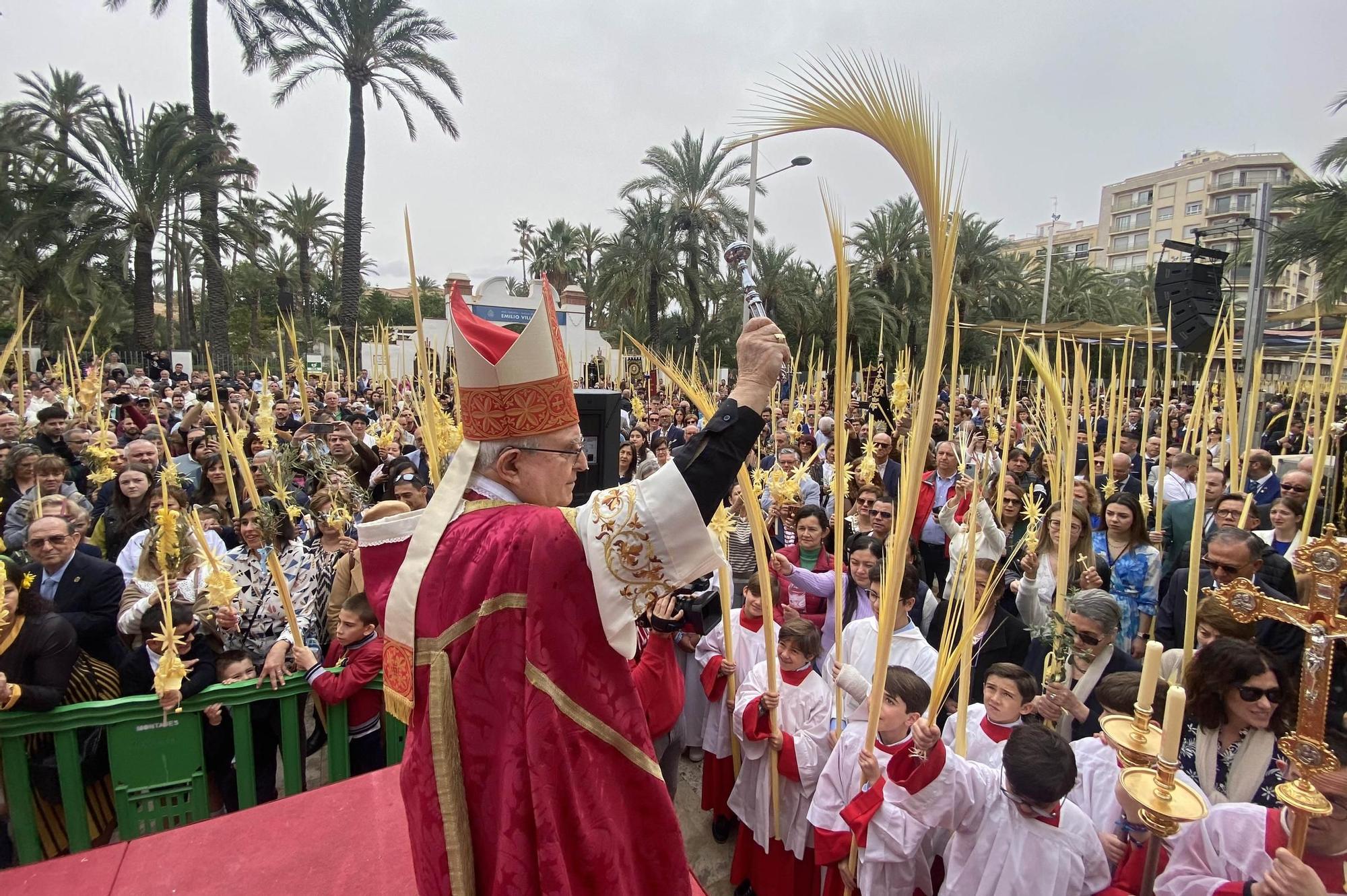 Miles de palmas blancas llenan Elche de tradición