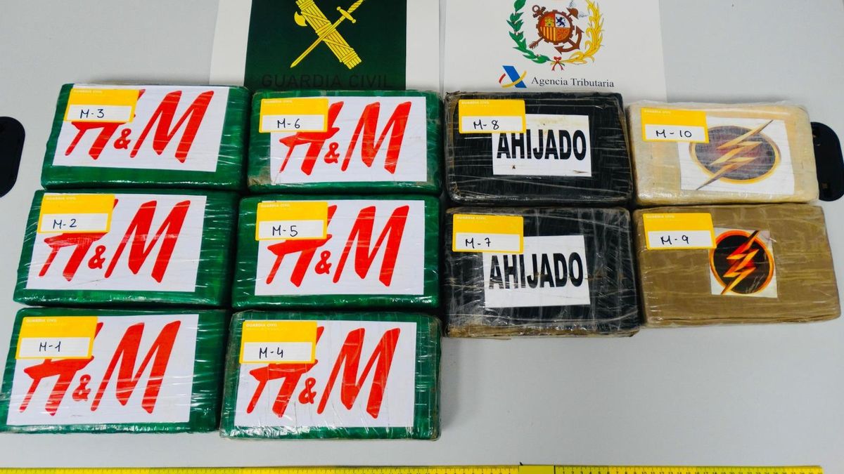 VÍDEO | Un detenido por esconder diez kilos de cocaína entre la carga de un camión en el puerto de Ibiza