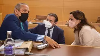 El Pleno apoya el tren y la ampliación del tranvía como el futuro de la movilidad en Tenerife