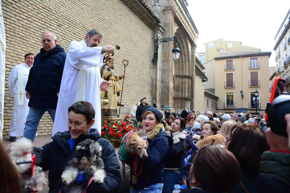 En imágenes | Bendición de los animales por San Antón en la iglesia de San Pablo