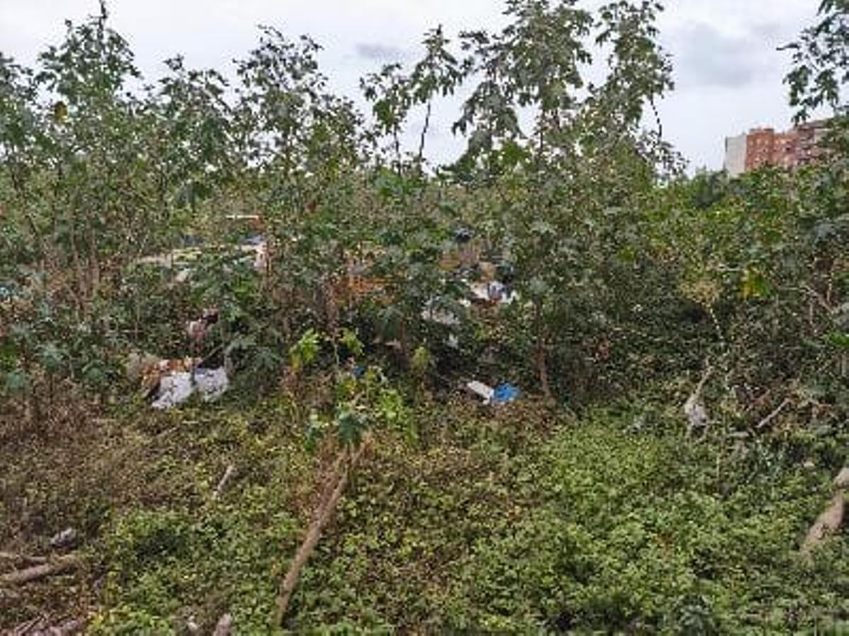 Maleza, vegetación muy crecida y basura, material inflamable que preocupa a la asociación vecinal