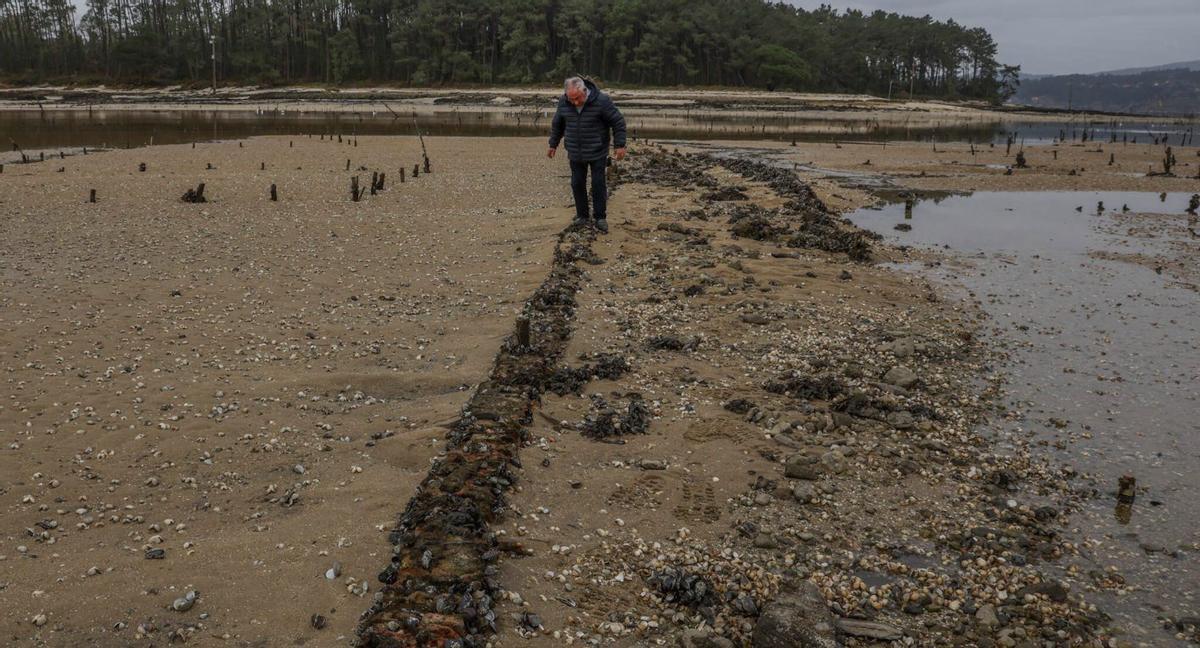 La mortandad en los parques de cultivo va en aumento | IÑAKI ABELLA
