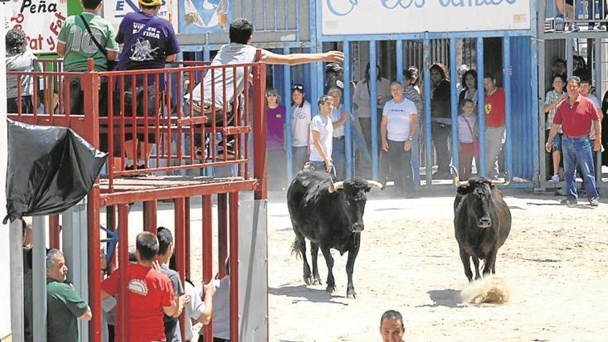 Siete hierros autóctonos para las vacas de mayo