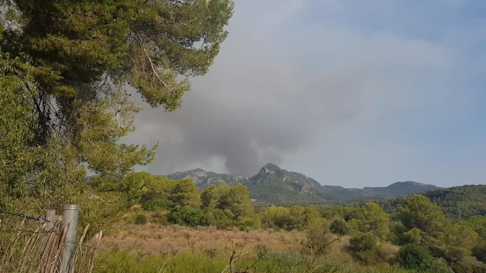 Incendio forestal en Llutxent