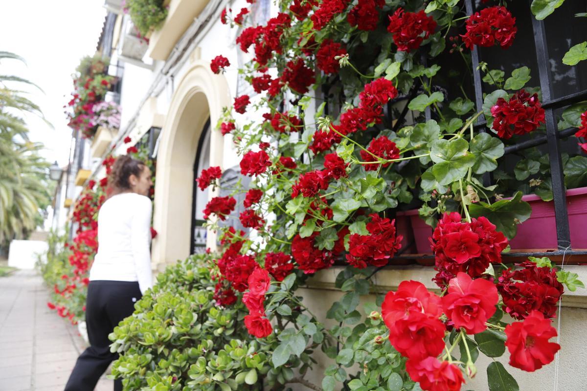 Córdoba Concurso de rejas y balcones 2025 Rafael Pérez de León 14