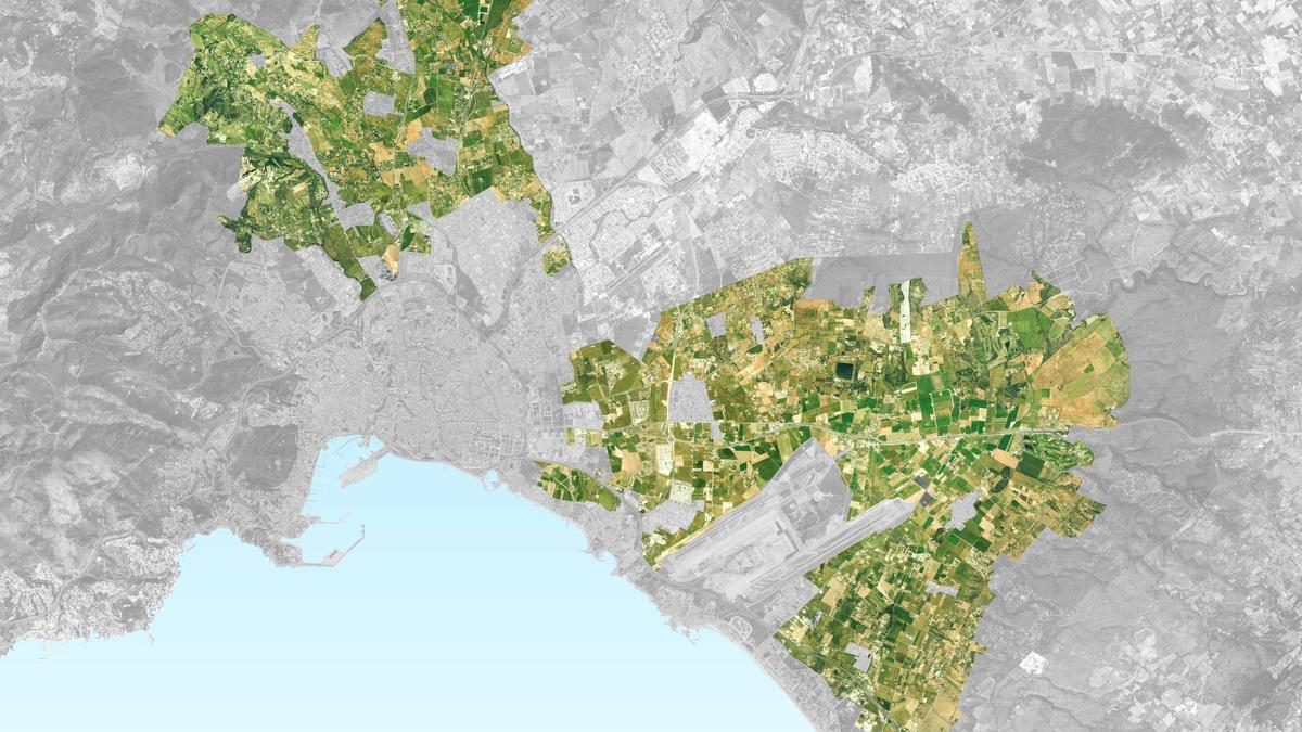 Las dos zonas que conforman el Parc Agrari: s&#039;Horta de Dalt, en torno a La Real y el Pla de Sant Jordi y Son Ferriol.