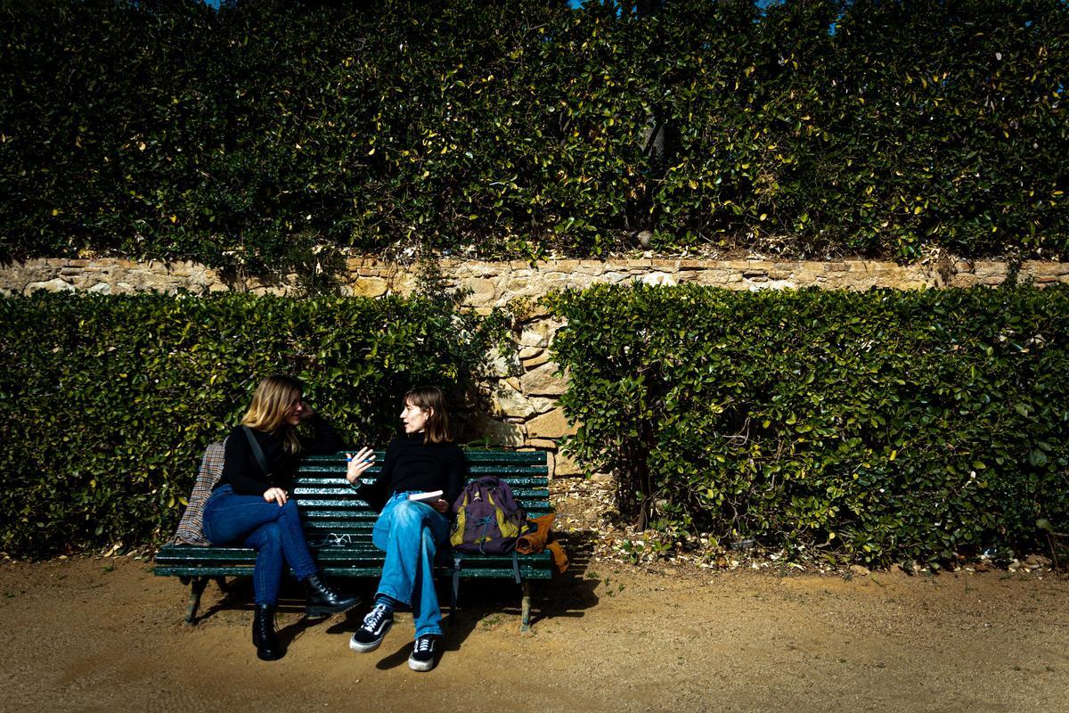 Daños en un seto en los jardines del palacio de Pedralbes, en Barcelona.