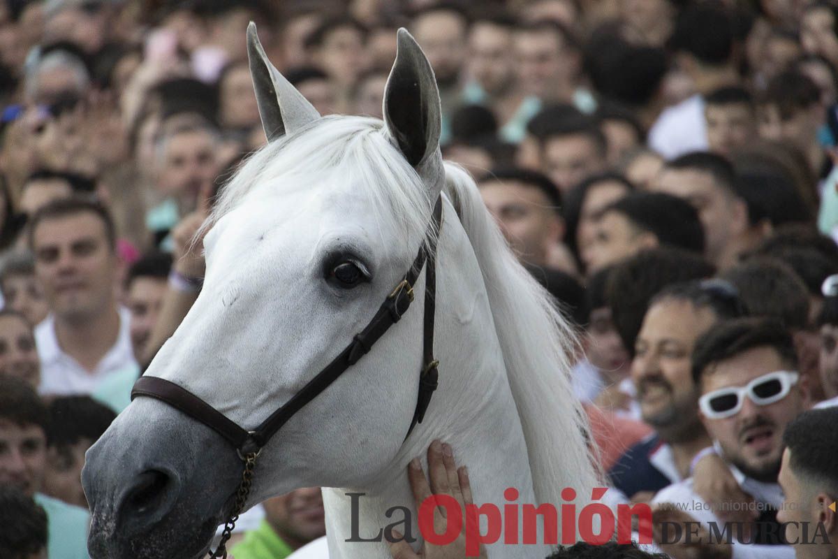 Fiestas de Caravaca | Entrega de premios del concurso morfológico