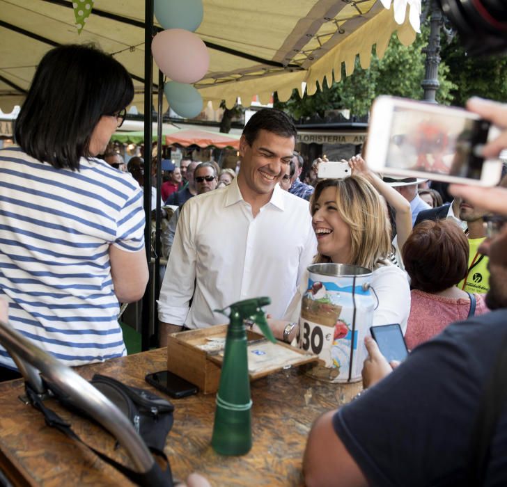 PEDRO SÁNCHEZ EN GRANADA