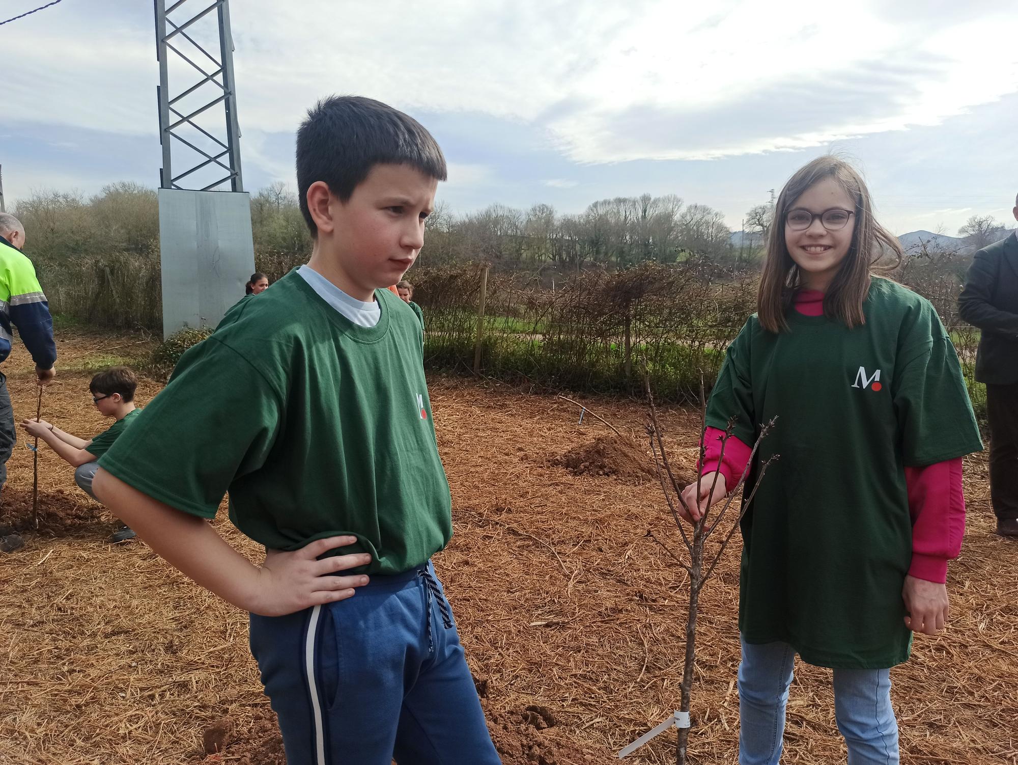 Los escolares de San Cucao ponen freno a la huella de carbono con la plantación de árboles frutales, así fue la jornada ambiental