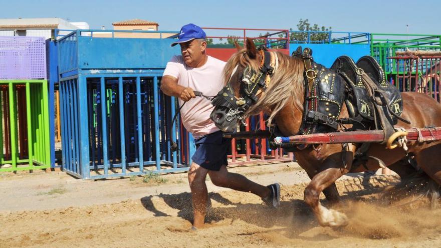 Moró celebró ayer su XVII exhibición de &#039;Tiro y arrastre&#039;