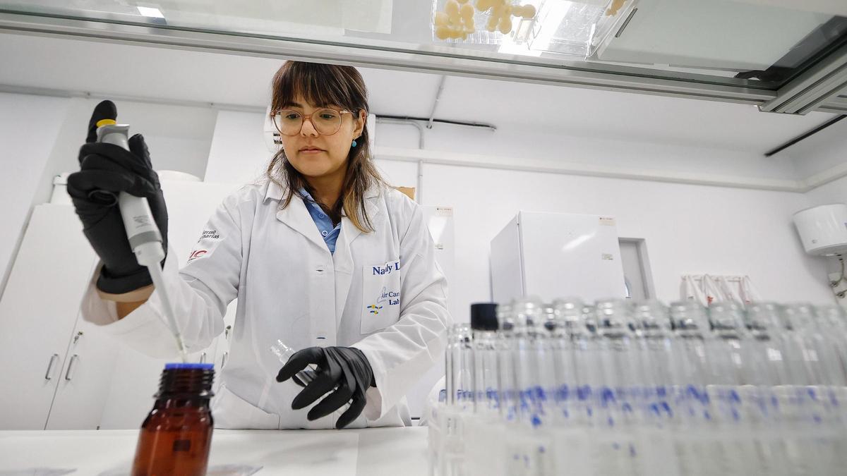 Una investigadora analiza varias muestras en un laboratorio, en una imagen de archivo.
