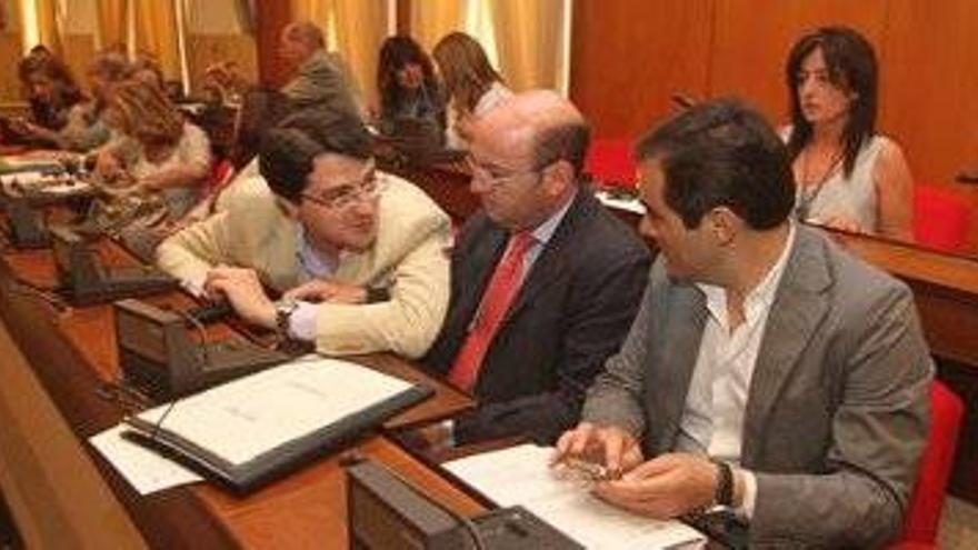 El Pleno aprueba reestructurar Procórdoba y Vimcorsa