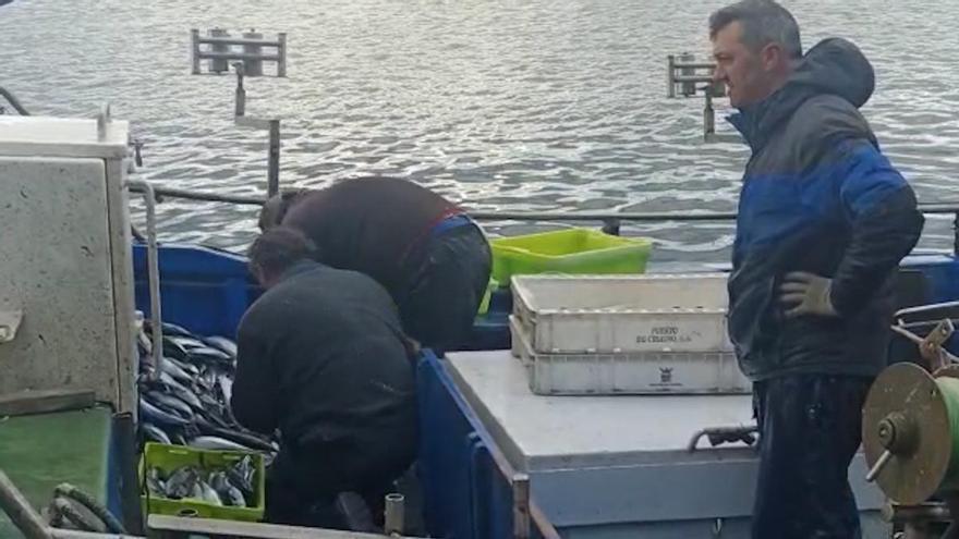 El Pescador va a la compra al muelle de Cudillero