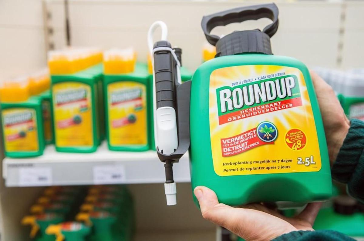 El Roundup, controvertido pesticida