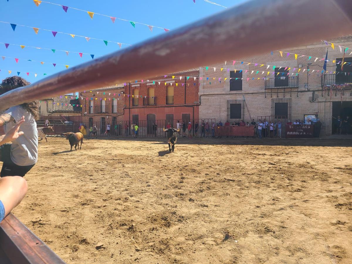 GALERÍA | Morales de Toro vive su primer encierro de las fiestas de San Roque 2024 GALERÍA | Morales de Toro vive su primer encierro de las fiestas de San Roque 2024