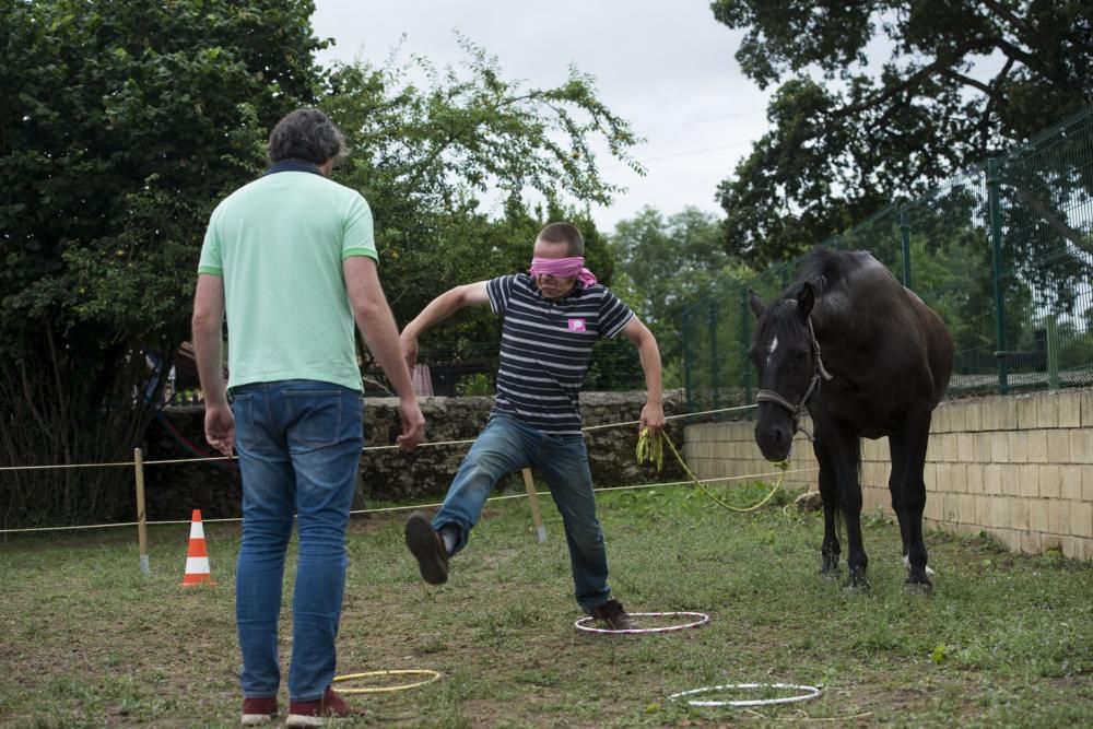 'Coaching' con caballos para empresarios