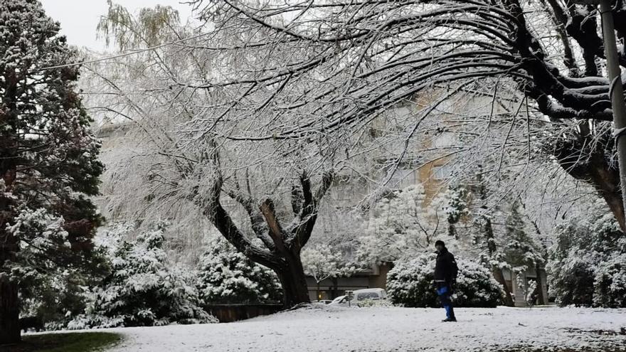 El Passeig de la Pau nevat