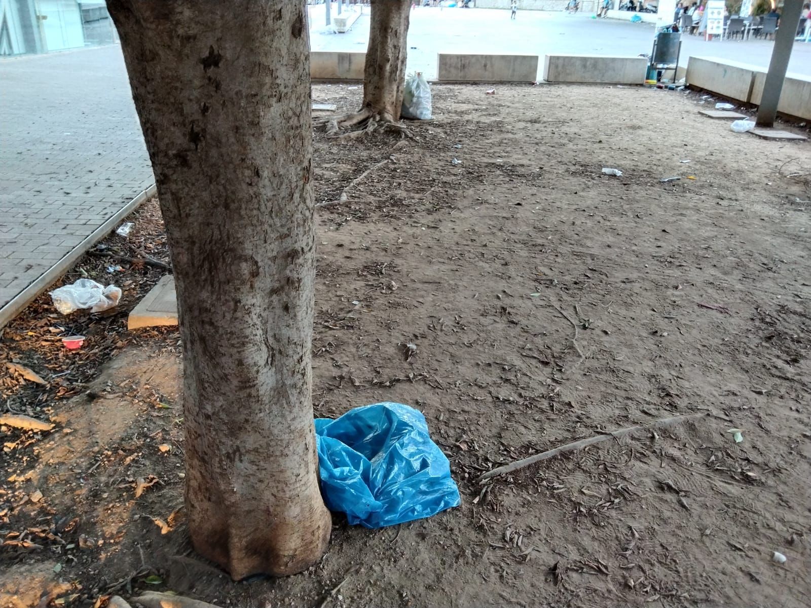 Alcúdia, llena de basura debido a la huelga de limpieza