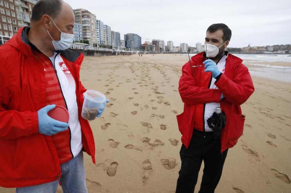 Recogida de plásticos en San Lorenzo (Gijón)