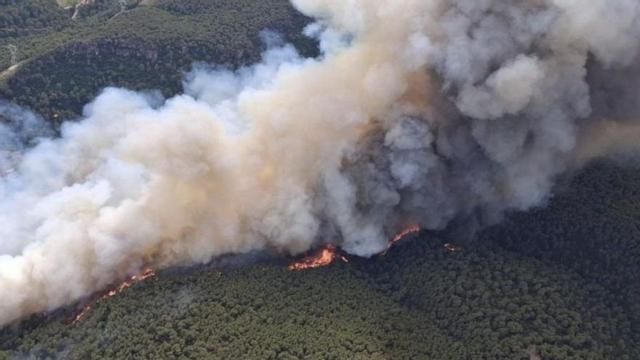 Vista aèria del bosc limítrof a Aiguamúrcia (Alt Camp). | BOMBERS DE LA GENERALITAT