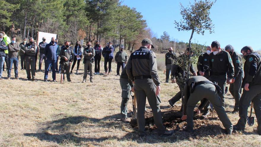 Els Agents Rurals planten un arbre davant d&#039;alumnes, representants polítics i familiars d&#039;Alet